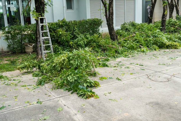 How Our Tree Care Process Works  in  Granite, OK